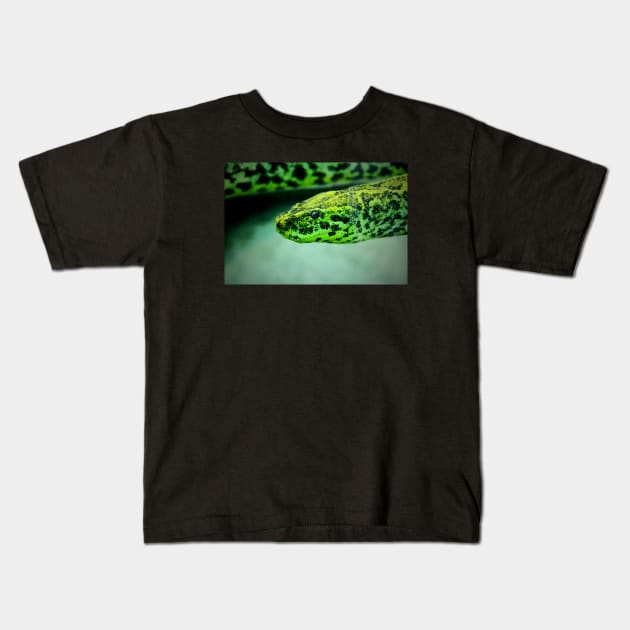 Anaconda Kids T-Shirt by Wolf Art / Swiss Artwork Photography